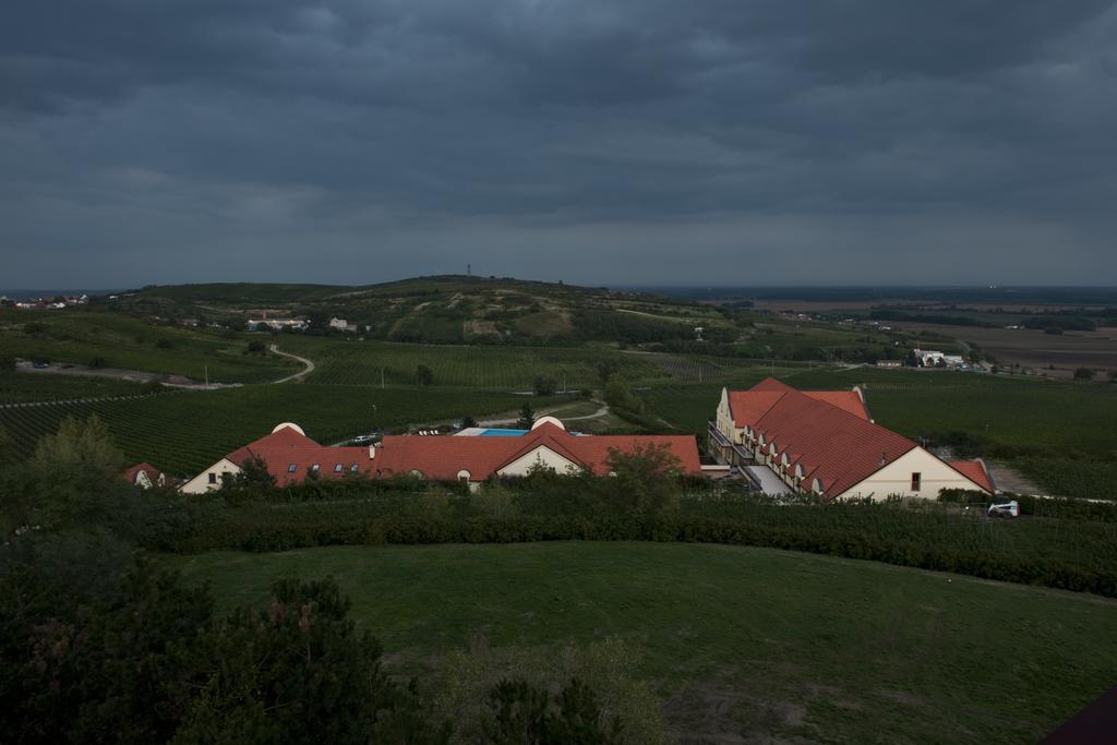 Vinarstvi U Kaplicky Hotel Zaječí Стая снимка