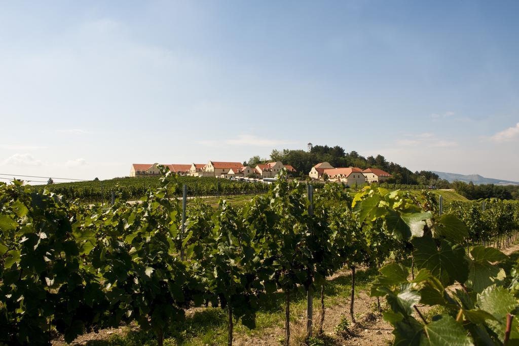 Vinarstvi U Kaplicky Hotel Zaječí Екстериор снимка