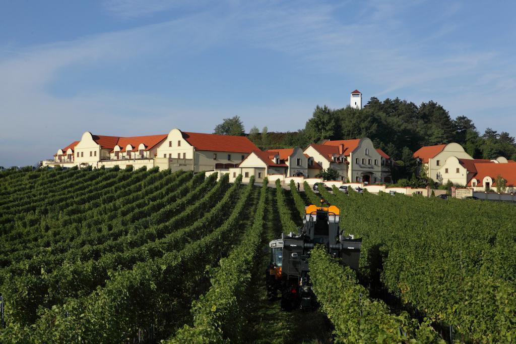 Vinarstvi U Kaplicky Hotel Zaječí Екстериор снимка